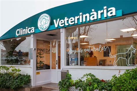 traspaso clinica veterinaria|La planificación del traspaso de su negocio veterinario